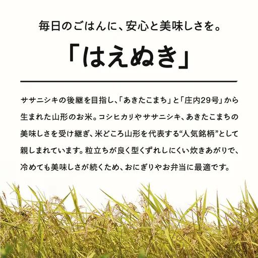 【先行予約】＜新米＞ はえぬき 無洗米 20kg 2月上旬~2月中旬発送 国産 お米 山形県産 山形産  おすすめ 20kg 20キロ 20きろ 令和8年産 2026年産 沖縄・離島への配送不可 コメ