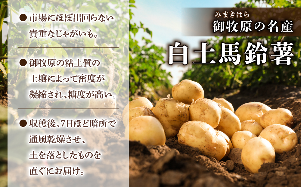 先行受付【里山JAPAN】長野県産新じゃがいも 生きた土壌で育った『白土馬鈴薯5㎏』｜2025年7月〜8月発送予定