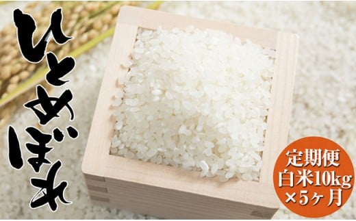 【ふるさと納税】先行予約 5ヶ月定期便 米 ひとめぼれ 50kg (10kg×5ヶ月) 令和7年産 海の見える農園で作った 白米 新米 [ お米 精米 ご飯 ごはん おにぎり お弁当 ギフト 仕送り キャンプ 備蓄 保存食 数量限定 岩手 陸前高田 大和農園 ]