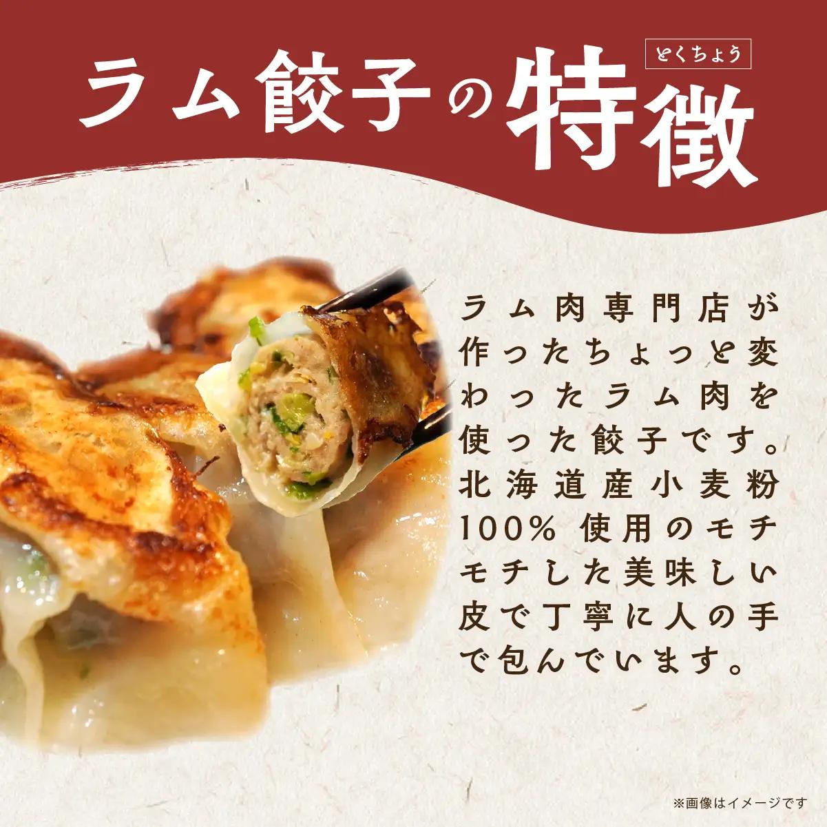 ラム肉専門店の作った手作りラム餃子 100個 MROA157