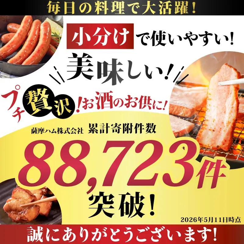 色々楽しめる訳あり品4種類詰合せセット K161-029_03 肉 豚肉 冷凍