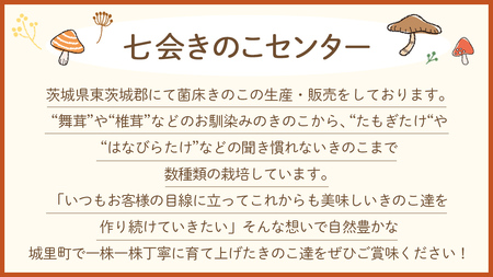 《 全３回 隔月定期便 》 きのこ の 詰め合わせ Sサイズ 約1kg （茨城県共通返礼品 城里町） 定期便 キノコ 舞茸 あわび茸 たもぎ茸 しいたけ ぶなしめじ セット 鍋 炒め物 [CX008s