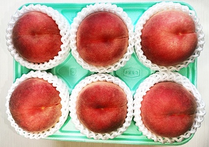 太陽の恵【特選】さくら白桃　大玉【２ｋｇ箱に１.８ｋｇ～２.２ｋｇ詰め】　0106-2508