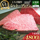 【ふるさと納税】【選べる回数】とちぎ和牛 シャトーブリアン ( ヒレ肉 ) 約 400g ～ 約 4800g | 大盛り 大盛 大容量 メガ 高級肉 A5 贅沢 脂 赤身 バランス 柔らかい とろける 大好き 美味しい おいしい ギフト プレゼント 贈り物 特産品 栃木県 真岡市 送料無料