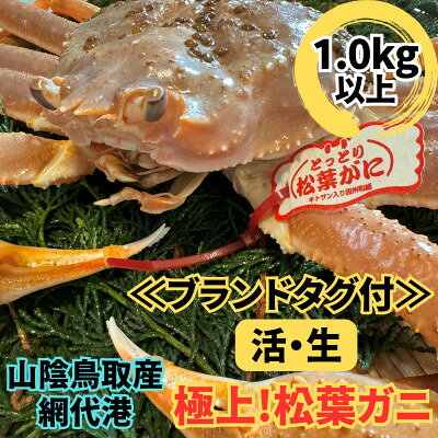 【ふるさと納税】【さかなや新鮮組】鳥取県産 ブランドタグ付き 活 極上松葉ガニ(1.0kg以上) 1枚【配送不可地域：離島・北海道・沖縄県・東北・信越、北陸】【1759410】