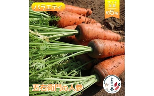 五右衛門の人参［バラエティ］約5kg