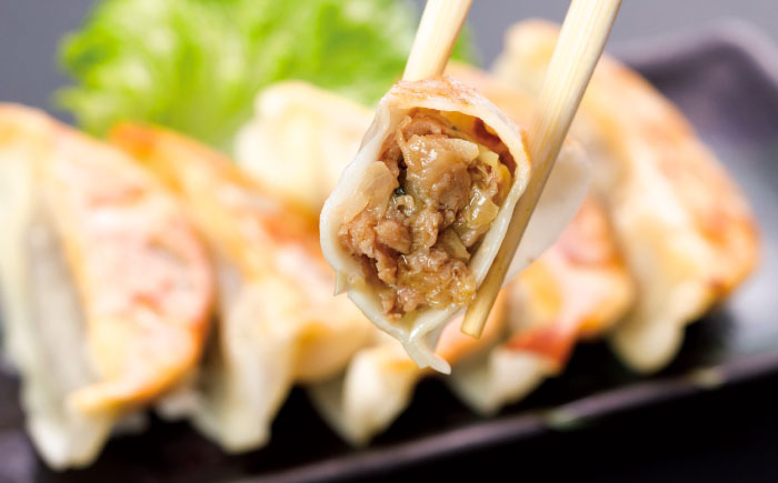 【全3回定期便】【限定数量】熊本和牛あか牛ぎょうざセット(60個入り) / 菊陽町 あかうし 熊本県 肉 にく niku ブランド 旨み【有限会社　三協畜産】 [BHAS051]