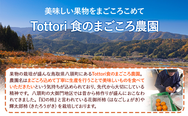 柿 八頭町が誇る 日本随一の 甘柿 花御所柿 2kg Tottori食のまごころ農園 《11月下旬-12月下旬頃出荷》鳥取県 八頭町 柿 かき カキ 花御所柿 甘柿 果物 フルーツst-p