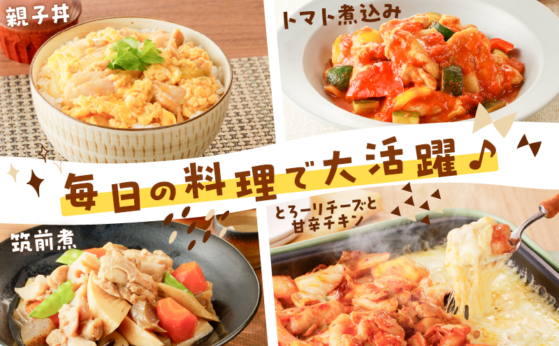 【国産】鶏モモ（うす塩）3kg　K025-012_05