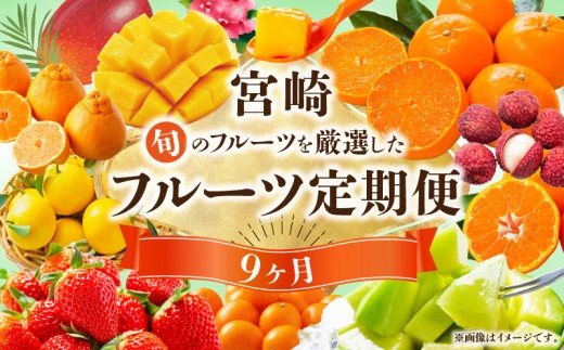 【数量・期間限定】旬のフルーツ9ヶ月定期便vol.1 フルーツ定期便 果物定期便 定期便 定期 旬のフルーツ 旬の果物 果物 フルーツ デザート 旬 厳選 いちご イチゴ 苺 金柑 きんかん 金柑たまたま せとか 柑橘 柑橘系 日向夏 マンゴー 宮崎マンゴー ライチ メロン みかん ミカン 不知火 期間限定 贈り物 ギフト 贈答 ご褒美 グルメ 宮崎県 宮崎市 _M348-T008