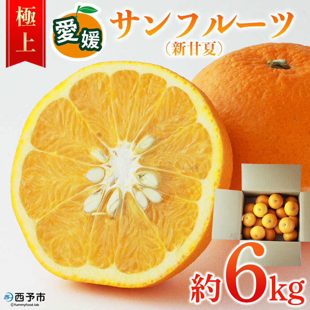 【ふるさと納税】＜愛媛県西予市産 サンフルーツ（新甘夏）極上 約6kg＞ 極上品 サンフルーツ サンフル 新甘夏 果物 フルーツ みかん 蜜柑 柑橘 特産品 愛媛県産 食べて応援 宇都宮物産 愛媛県 西予市【常温】『2026年3月中旬～4月迄に順次出荷予定』