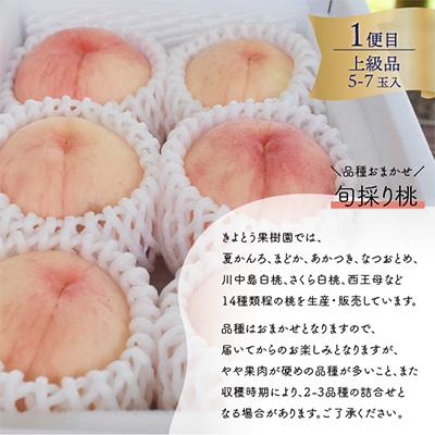 ふるさと納税 真庭市 【発送月固定定期便】【2026年先行予約】量より質!桃と葡萄と梨の上級品が届く(岡山県産)全3回 |  | 01