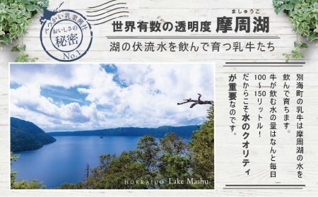 アイス！高評価★5.0 プレミアムミルクリッチ 12個（ あいす アイス アイスクリーム みるく ミルク 北海道 別海町 人気 ふるさと納税 ）