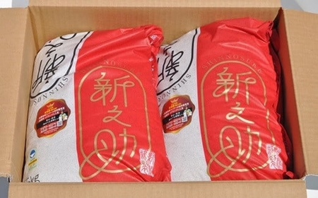 【令和7年産米】新之助 白米 10kg（5kg×2袋）新潟県認証特別栽培米 お米 新潟県産 アグリーホンマ[Y0368]
