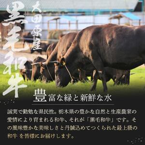 大田原産 黒毛和牛 極旨カルビ 焼肉用　500g×3