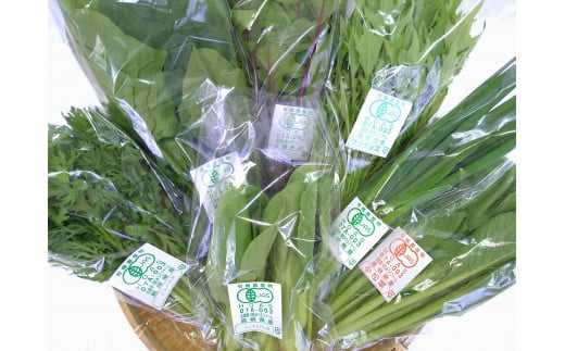 みうらファームが選んだ 旬の有機野菜厳選８品セット 野菜 有機野菜 セット 厳選 8品 旬 有機JAS認証 詰め合わせ 産地直送 【109_1347】