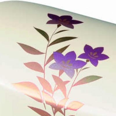 ふるさと納税 海南市 紀州漆器 漆芸 蒔絵 文鎮 小判型 白 桔梗 |  | 01