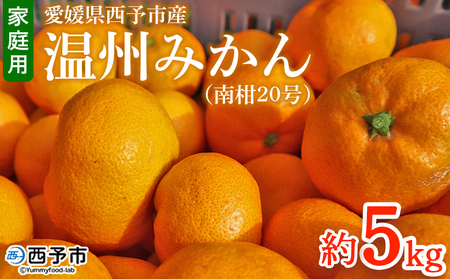 ＜愛媛県西予市産 温州みかん（南柑20号）家庭用 約5kg＞ 果物 くだもの ミカン 蜜柑 柑橘 フルーツ 訳あり ワケアリ サイズ不揃い キズあり 食べて応援 特産品 段畑みかん 愛媛県 西予市【常温】『2025年11月中旬～12月中旬迄に順次出荷予定』ADM0017