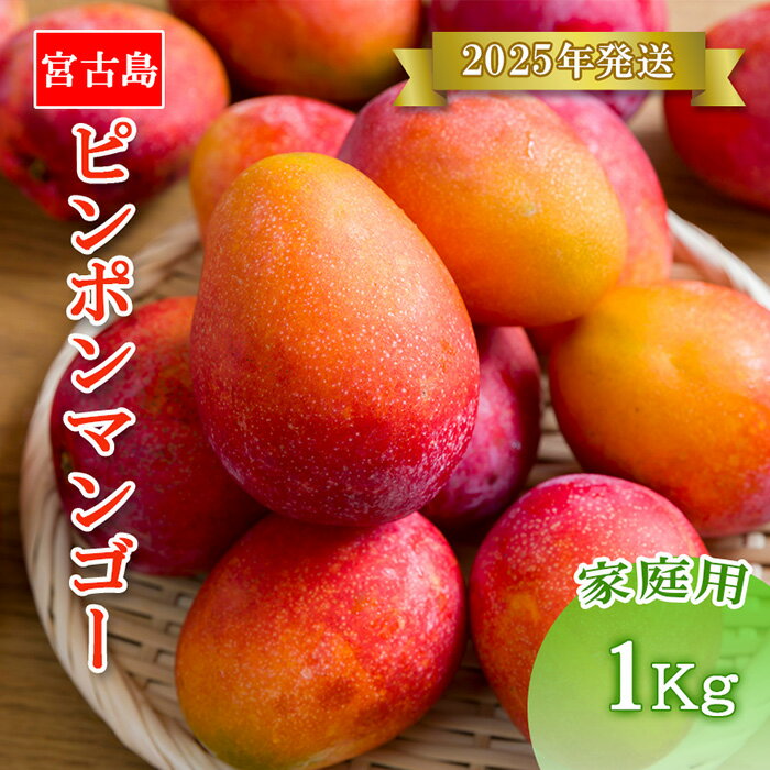 【ふるさと納税】【先行予約】＜2025年発送＞ いらぶ島マンゴー園　宮古島産“ピンポンマンゴー”家庭用 / 訳アリ(1kg）(HR02）｜マンゴー 訳アリ 訳あり 沖縄県 宮古島 送料無料 ピンポンマンゴー