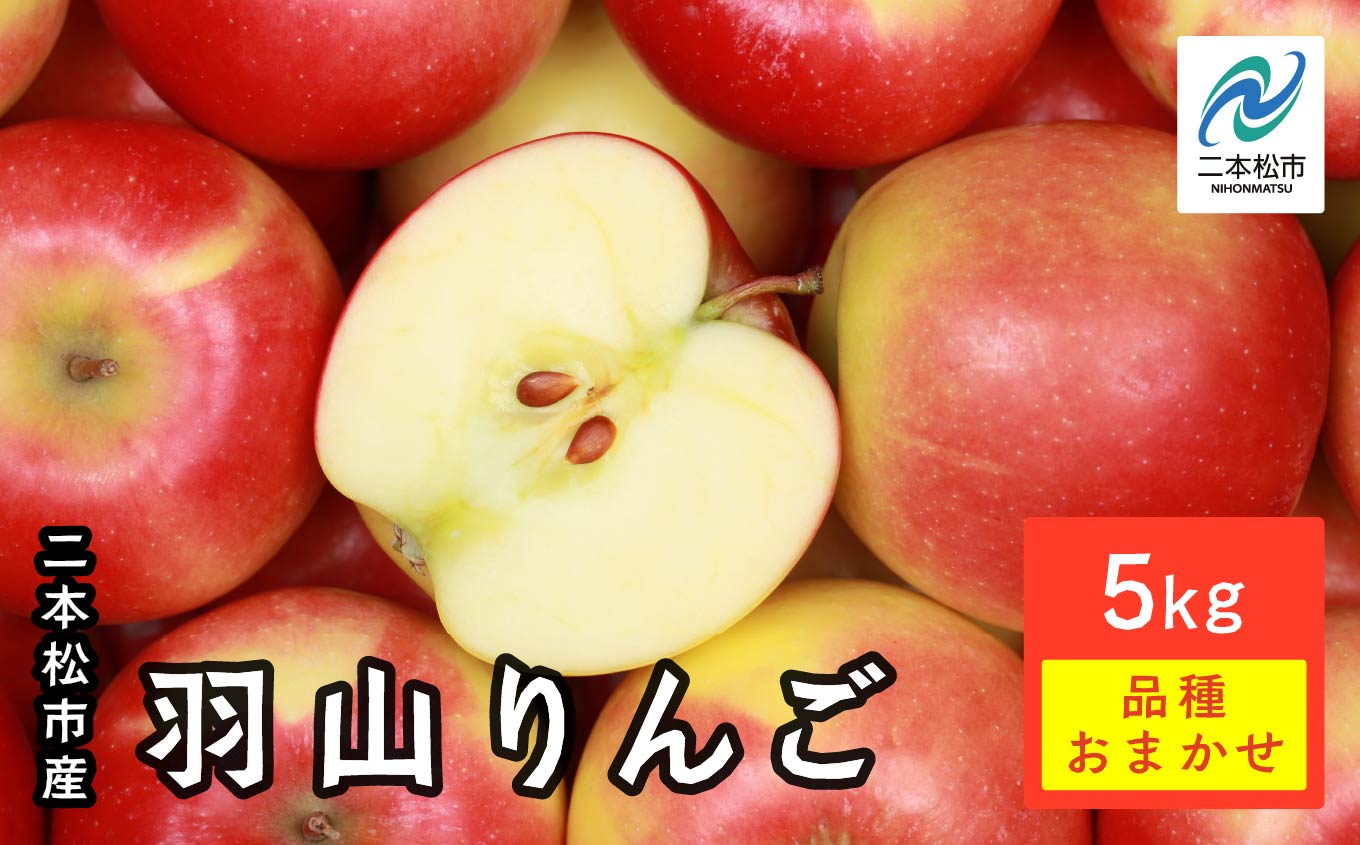 《2025年9月下旬以降発送》羽山りんご品種おまかせ(早生・中早生)5Kg【羽山果樹組合】