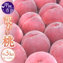 【ふるさと納税】 桃 訳あり 約3kg 6～13玉 山梨県産 甲州市産 2025年発送 果物 フルーツ コンポート デザート SDGs 数量限定 期間限定 家庭用 わけあり 6月下旬より発送 (APX) 【B-198】