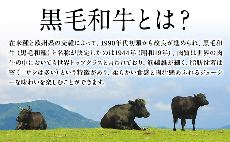 黒毛和牛ハンバーグ150g×10個 絶品 ブランド牛 黒毛和種 有限会社トップルーフ《60日以内に出荷予定(土日祝除く)》