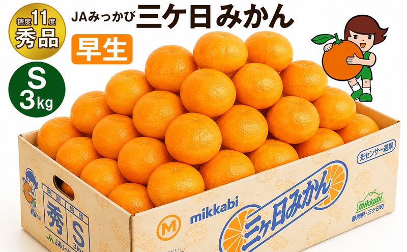 三ケ日みかん 早生【秀品】Sサイズ3kg(36個前後) ミカン 果物 くだもの フルーツ 甘い 静岡県 浜松市 果物類 柑橘類