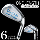 【ふるさと納税】One Length Iron（ワンレングスアイアン） Ichikawa One Length Iron 6本セット / 東邦ゴルフ 軟鉄鍛造 アイアン 国産 ゴルフクラブ ゴルフ用品 480BF01N.