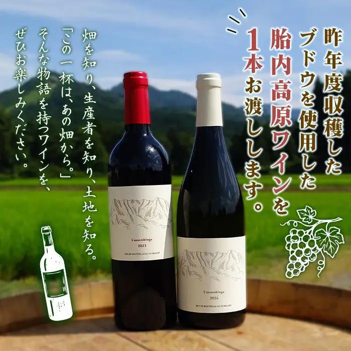 胎内高原ワイナリー ワイン用ブドウ収穫体験【ワイン1本付き】