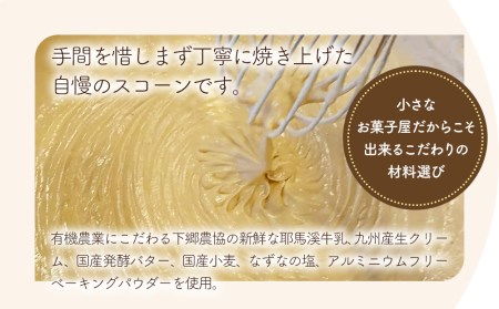 発酵バター香る濃厚リッチな生クリーム スコーン (クルミチョコ) 10個セット 手作り チョコレート お菓子 ギフト 焼き菓子 スイーツ 大分県産 九州産 中津市 国産 熨斗対応可