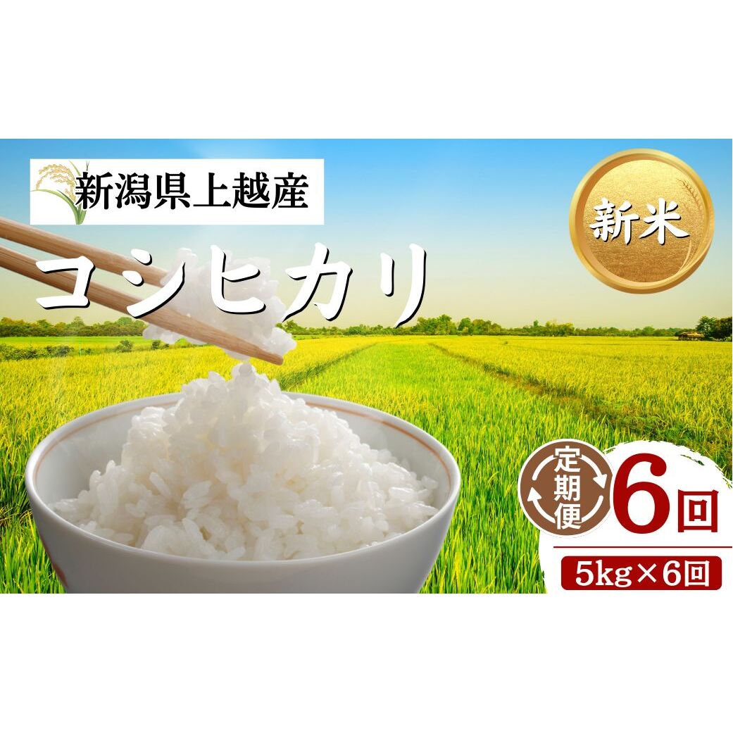 【先行予約】令和8年 新米 新潟上越産コシヒカリ 定期便 【6ヶ月連続お届け】5kg×6回 30kg 新潟 米 新潟県 こしひかり 限定 おすすめ