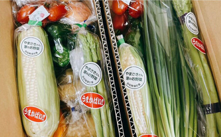 【野菜たっぷり♪】白石町産季節のおまかせ野菜詰め合わせセット【株式会社いち】[IDD002]