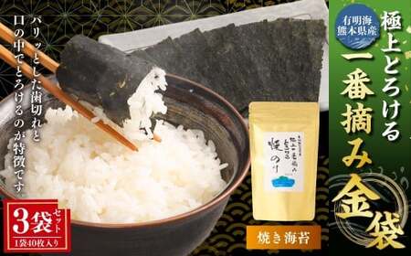 有明海 熊本産 極上とろける一番摘み 焼きのり 金袋 1袋（40枚入）×3袋 計120枚 海苔 のり ノリ 海藻