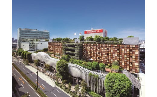 世田谷区ふるさと納税限定お礼品　二子玉川から望む世田谷区の街とグルメを楽しむ　玉川高島屋Ｓ・Ｃレストランチケット（60,000円分）【高島屋選定品】チケット 食事券 お食事券 レストラン デパート 東
