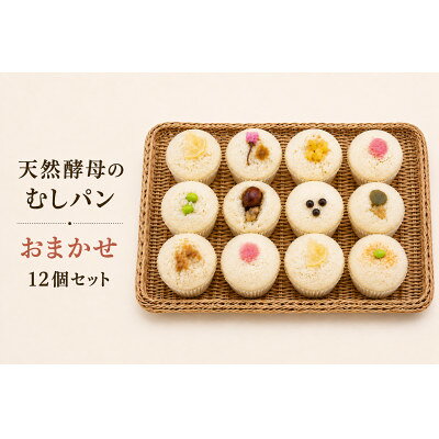 【ふるさと納税】むしパン おまかせセット　12個/15個【配送不可地域：離島】【G1691767】