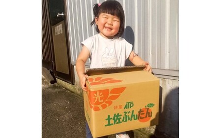 【先行予約】白木家のこだわり土佐文旦 露地 文旦 約8kg 13~20個入り L~3Lサイズ混合 〈2027年2月上旬〜3月上旬頃発送〉ぶんたん ブンタン 果物 柑橘 フルーツ お取り寄せ 特産品 美