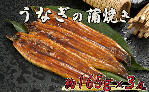 
うなぎ 鰻 蒲焼 約 165g × 3尾 減塩 醤油 ベース 蒲焼きのタレ 付き 高知県 須崎市
