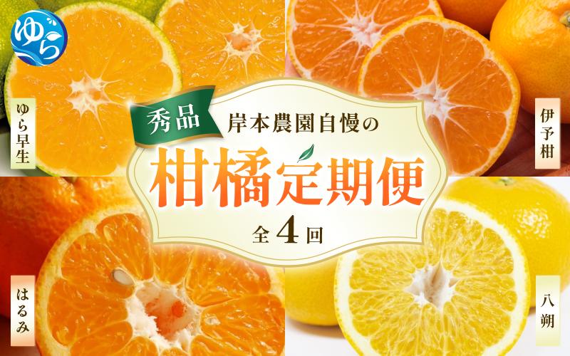 
            【先行予約】岸本農園自慢の 柑橘定期便 ※2025年10月頃より順次発送予定 / ゆら早生 伊予柑 いよかん はるみ 八朔 はっさく 柑橘 フルーツ 果物 くだもの 定期便 4回 食品 人気 おすすめ 送料無料【ksmt-tkb001】
          