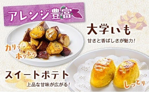 長期熟成 紅はるか 計3kg 宮崎県都城市産 さつまいも サツマイモ
