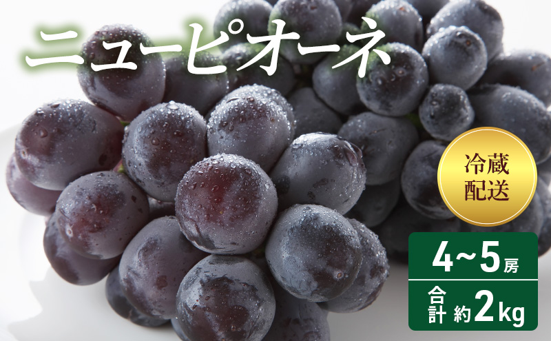2025年 先行予約 ニューピオーネ 4～5房 合計約2kg 冷蔵配送 ぶどう 葡萄 フルーツ 果物 岡山 