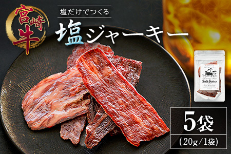塩だけでつくる 宮崎牛 塩ジャーキー 5袋（20g×5袋）ブランド牛 ビーフジャーキー おつまみ 珍味 グルメ 干し肉 宮崎県産