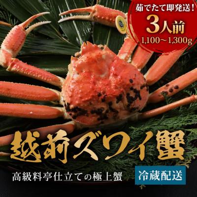 ふるさと納税 福井市 【11月〜12月に発送】福井のカニ料理店「茹で越前がにズワイ蟹」大大1杯(1.1〜1.3kg)