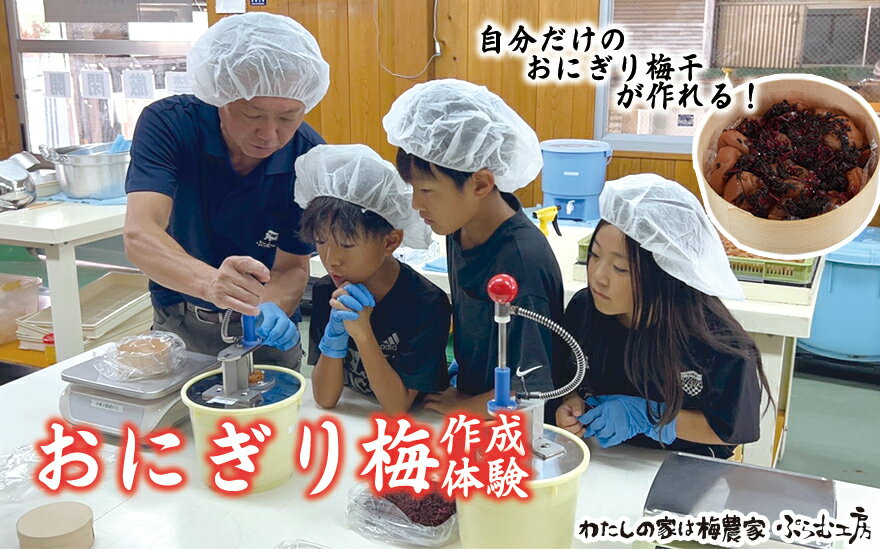 【ふるさと納税】 オリジナルおにぎり梅製作体験ペアチケット | 和歌山 みなべ町 梅 ウメ 梅干し おにぎり 体験チケット