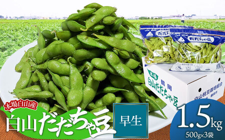 【令和7年産先行予約】本場白山産 濃厚だだちゃ豆【早生(わせ)】 1.5kg（500g×3袋） 枝豆　農家 長四郎