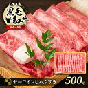 【ふるさと納税】牛肉 厳選部位 A4～A5 くまもと 黒毛和牛 サーロイン しゃぶしゃぶ すき焼き 500g 肉 お肉 ※配送不可：離島