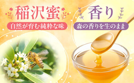 もちの木はちみつ（500g×2本） / はちみつ 国産 非加熱 純粋 蜂蜜 天然 ハチミツ / 稲沢市 / 椿園株式会社 [BMBI004]