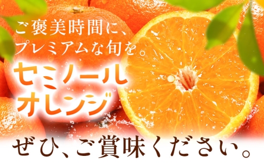オレンジ セミノールオレンジ 約5kg 株式会社魚鶴商店《5月上旬-5月下旬頃出荷予定》 和歌山県 日高川町 柑橘 フルーツ