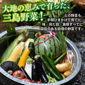 【2026年9月発送 夏野菜】三島野菜詰め合わせセット 8種類以上 JAふじ伊豆 ファーマーズマーケット みしまるかん お取り寄せ グルメ 野菜 旬の詰め合わせ 三島市 静岡県
