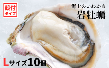 【海士のいわがき】殻付き Lサイズ 10個 岩牡蠣 生食可 新鮮クリーミー 冷凍 牡蛎 牡蠣 かき カキ 岩牡蠣 いわがき CAS CAS冷凍 父の日 母の日 バーベキュー ギフト