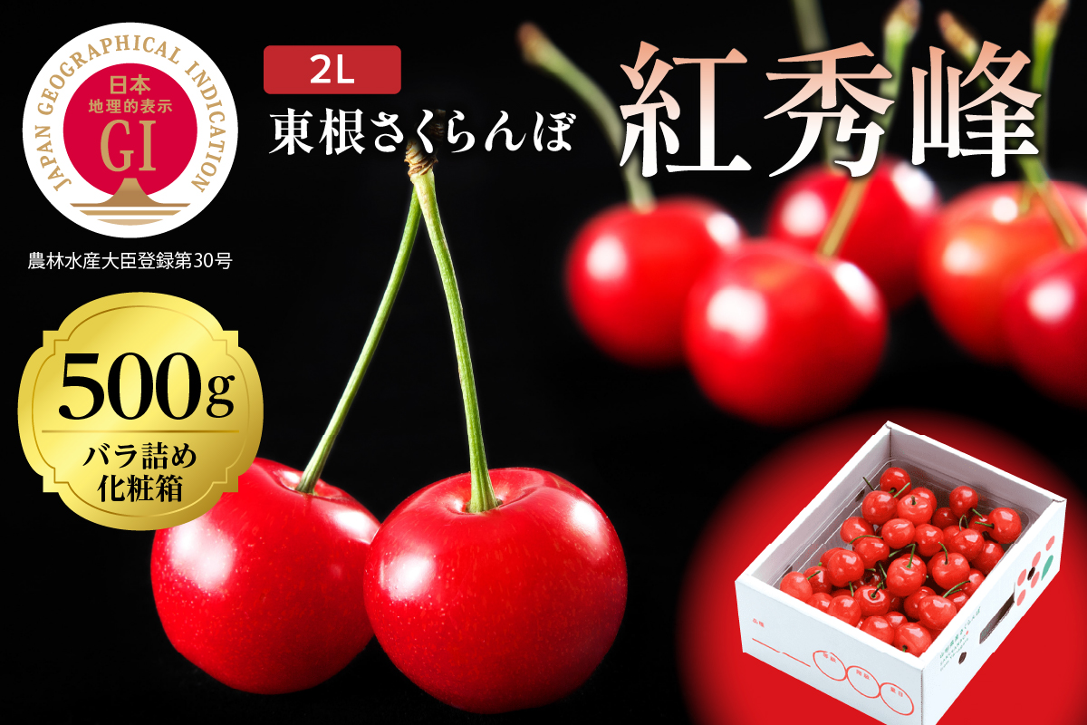 2026年 GI東根さくらんぼ「紅秀峰」500gバラ詰め 秀品 Lサイズ 東根農産センター提供 山形県 東根市 hi027-228